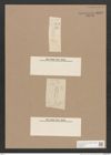 Navicula sp. (de-Toni-Nr.: Genus 1) Zeichnungen Sammlung Grunow Nr. 1605 (NHMW-BOT-W0368155)